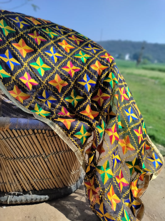 Phulkari chiffon dupatta