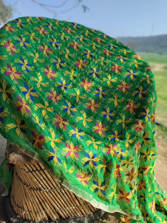Phulkari chiffon dupatta