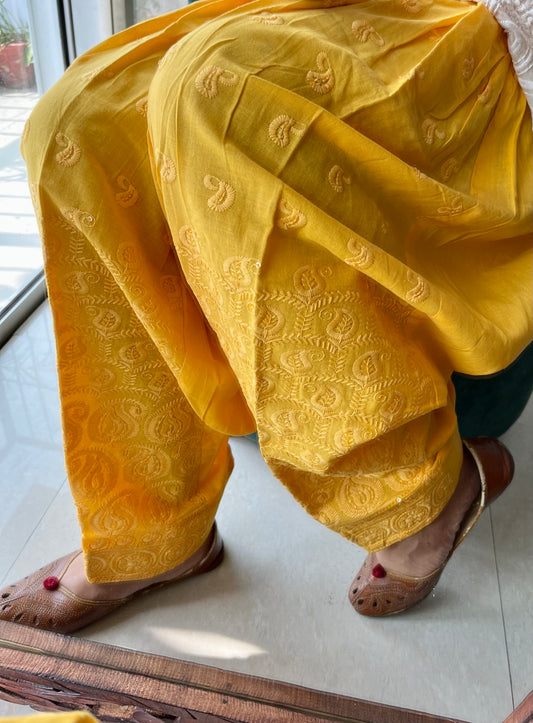 Sequins embroidered salwars