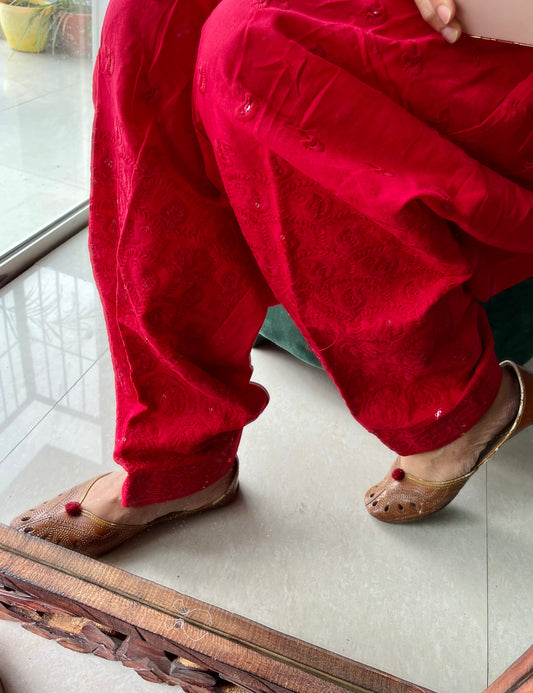 Sequins embroidered salwars