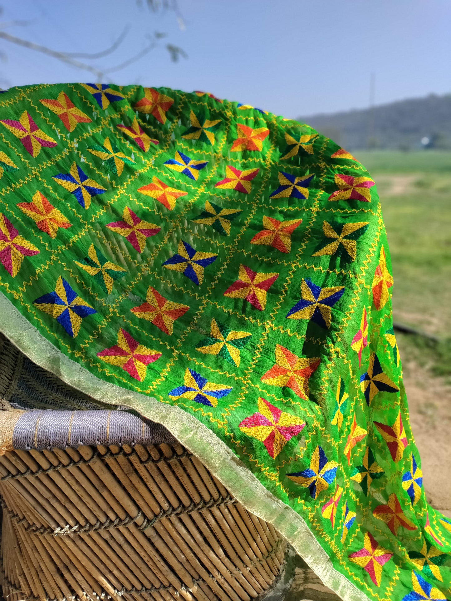 F_Phulkari dupatta